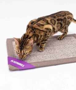 Petrebels Mastermat 60 Katten Krabmat - Cappuccino - 60 X 40 Cm - Zeer Sterk -Merkloos Winkel 1015x1200 3