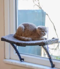 Hobipets - Kattenmand Raam - 5 Zuignappen - Hangmat Kat Raam -Merkloos Winkel 1049x1200 3