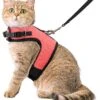 Kattentuigje Met Leiband Riem Kattenharnas Roze Maat S Kat & Kitten - Dieren Kattenriem - Cat Leash - Halsomvang 15 Tot 20cm - Borstomvang 25 Tot 30cm - Zootic®