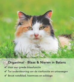 Organimal - Blaas En Nieren In Balans - Kat - O.a. Bij Blaasontsteking En Blaasgruis - 45 Tabletten A 700mg -Merkloos Winkel 1071x1200