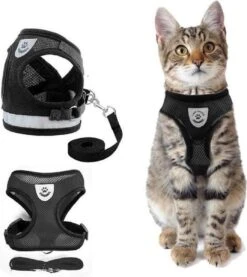 Merkloos Kattentuigje Met Looplijn | Zwart Kattenharnas| Easy Step In | Kattenriem | Kattenlijn | Kattentuig | Maat M 5 Merkloos Kattentuigje Met Looplijn | Zwart Kattenharnas| Easy Step In | Kattenriem | Kattenlijn | Kattentuig | Maat M -Merkloos Winkel 1071x1200 4