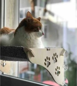 Merkloos Arnillo - Kattenhangmat - Kattenhangmat Raam - Kattenmand - Kattenbed - Kattenbed Raam - Kat Decoratie - Houten Kattenhangmat 9 Merkloos Arnillo - Kattenhangmat - Kattenhangmat Raam - Kattenmand - Kattenbed - Kattenbed Raam - Kat Decoratie - Houten Kattenhangmat -Merkloos Winkel 1076x1200 2