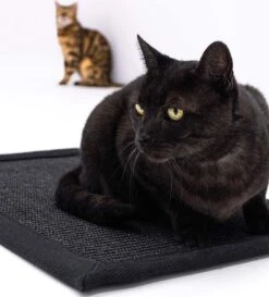Petrebels Mastermat 80 Katten Krabmat - Zwart - 80 X 50 Cm - Zeer Sterk -Merkloos Winkel 1086x1200 5