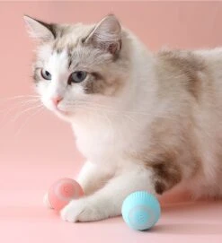 Merkloos EYSS Slimme Bal / Huisdier Speelgoedbal / Kattenspeeltje / Zelfrollende Kattenbal / Smart Rollende Bal / Oplaadbare Speeltje Voor Poesjes /Katten -Merkloos Winkel 1092x1200