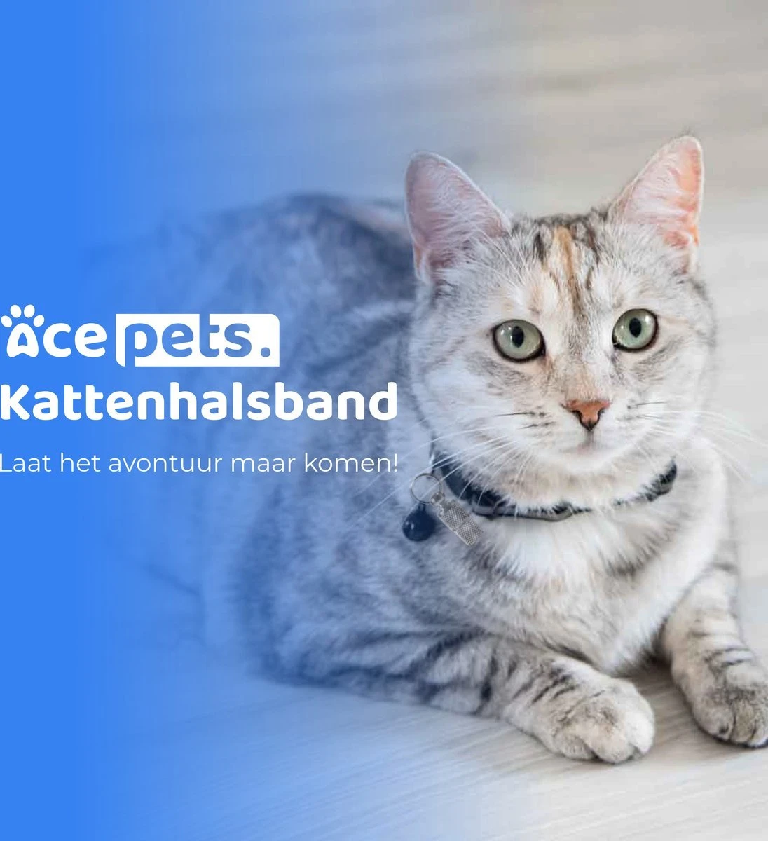 ACE Pets Reflecterende Kattenhalsband Met Veiligheidssluiting – Halsband Kat & Kitten - Met Adreskoker - Kittenhalsband & Kattenbandje Met Belletje - Geschikt Voor Apple Airtag - Zwart 9 ACE Pets Reflecterende Kattenhalsband Met Veiligheidssluiting – Halsband Kat & Kitten - Met Adreskoker - Kittenhalsband & Kattenbandje Met Belletje - Geschikt Voor Apple Airtag - Zwart - Afbeelding 9