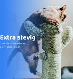 ACE Pets Reflecterende Kattenhalsband Met Veiligheidssluiting – Halsband Kat & Kitten - Met Adreskoker - Kittenhalsband & Kattenbandje Met Belletje - Zwart 13 ACE Pets Reflecterende Kattenhalsband Met Veiligheidssluiting – Halsband Kat & Kitten - Met Adreskoker - Kittenhalsband & Kattenbandje Met Belletje - Zwart -Merkloos Winkel 1099x1200 5