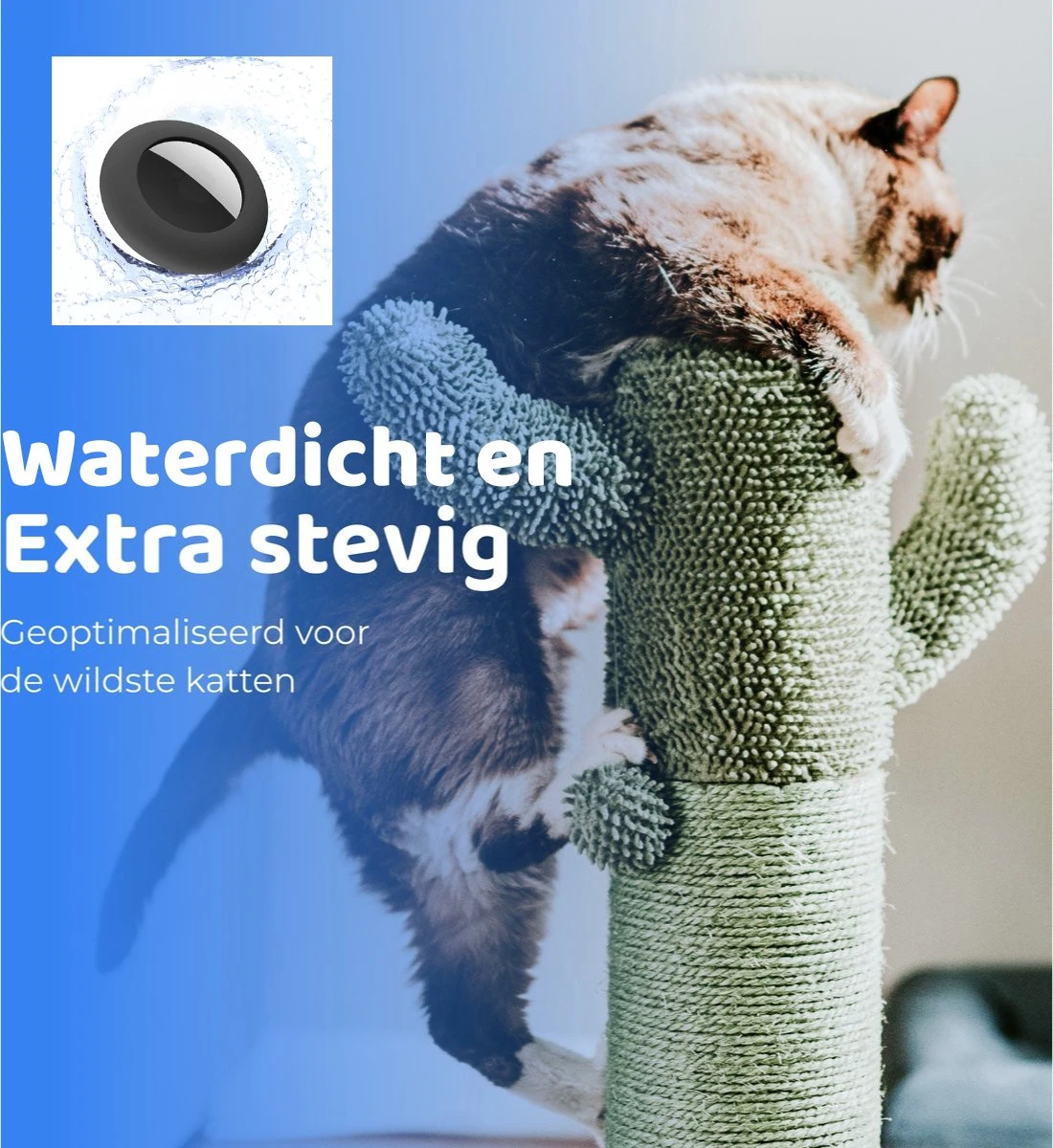 ACE Pets Reflecterende Kattenhalsband Met Veiligheidssluiting – Halsband Kat & Kitten - Met Adreskoker - Kittenhalsband & Kattenbandje Met Belletje - Geschikt Voor Apple Airtag - Zwart 10 ACE Pets Reflecterende Kattenhalsband Met Veiligheidssluiting – Halsband Kat & Kitten - Met Adreskoker - Kittenhalsband & Kattenbandje Met Belletje - Geschikt Voor Apple Airtag - Zwart - Afbeelding 10
