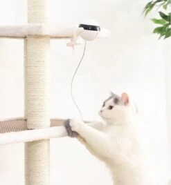 Merkloos Kattenspeelgoed - Katten Speelgoed - Katten Speeltje - Katten Bal - Katten - Kattenhengel - Kitten Speelgoed - Kattenspeeltjes - Elektrische - Muis - Automatische Hengel - Bal - Poes - Katten - Prooi - Kat - Poesjes - Interactief Kattenspeelgoed -Merkloos Winkel 1105x1200 3