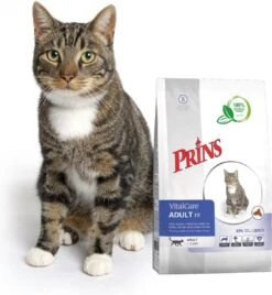 Prins VitalCare Adult Fit 10 Kg - Kat -Merkloos Winkel 1106x1200 1