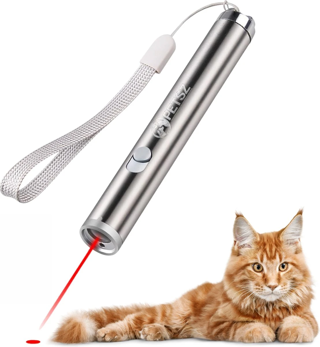 Laserpen - Kattenspeeltjes - Zaklamp - Kat - Laser - Kattenspeelgoed - RVS Opbergblikje 1 Laserpen - Kattenspeeltjes - Zaklamp - Kat - Laser - Kattenspeelgoed - RVS Opbergblikje