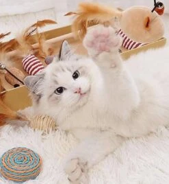 GIZMO Luxe Kattenspeeltjes Set - 7 Speeltjes - Interactieve Kattenhengel, Kattenspeelgoed & Speelmuisjes - Kitten Speeltjes -Merkloos Winkel 1108x1200