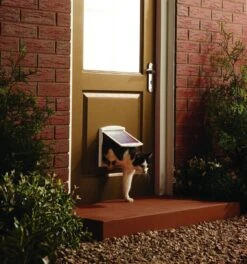 Petsafe 700 Kattenluik - S - Wit - 18.5 X 15.8 Cm -Merkloos Winkel 1122x1200 3