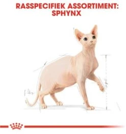 Royal Canin Sphynx Adult - Kattenvoer - 10 Kg 18 Royal Canin Sphynx Adult - Kattenvoer - 10 Kg -Merkloos Winkel 1126x1200 1