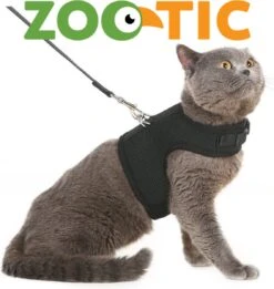 Kattentuigje Met Leiband Riem Kattenharnas Geel Maat M Kat & Kitten - Dieren Kattenriem - Cat Leash - Halsomvang 20 Tot 26cm - Borstomvang 30 Tot 34cm - Zootic® -Merkloos Winkel 1135x1200 3