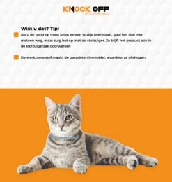 Knock Off Vlooien-tekenband – 100% Natuurlijke Vlooienbestrijding - Zonder Schadelijke Pesticiden Of Gif – Effectief Tot 4 Maanden – Nederlands- En Franstalige Handleiding – Regen- En Waterbestendig - Geschikt Voor Katten – 35 Cm 6 Knock Off Vlooien-tekenband – 100% Natuurlijke Vlooienbestrijding - Zonder Schadelijke Pesticiden Of Gif – Effectief Tot 4 Maanden – Nederlands- En Franstalige Handleiding – Regen- En Waterbestendig - Geschikt Voor Katten – 35 Cm -Merkloos Winkel 1139x1200 1