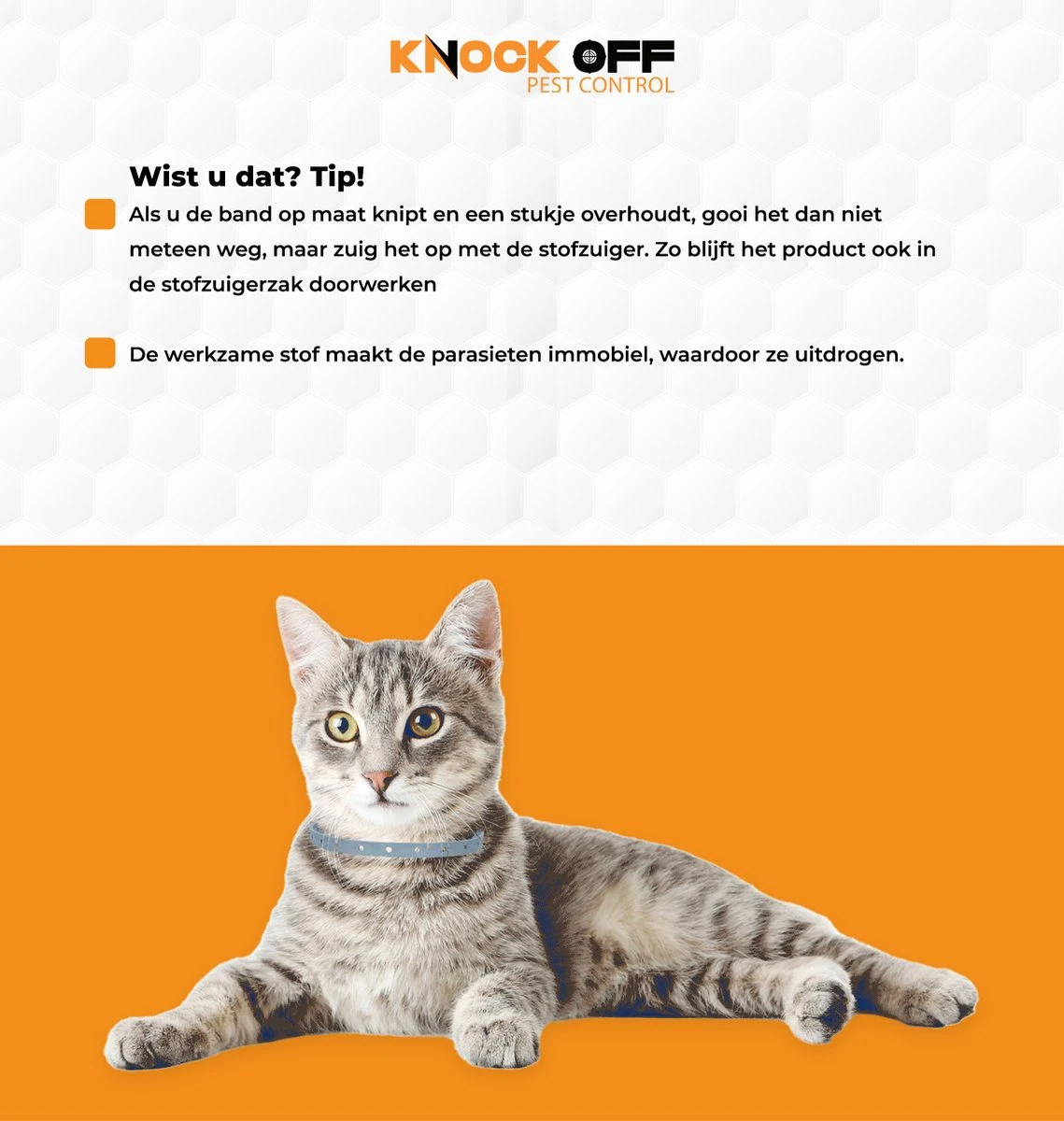 Knock Off Vlooien-tekenband – 100% Natuurlijke Vlooienbestrijding - Zonder Schadelijke Pesticiden Of Gif – Effectief Tot 4 Maanden – Nederlands- En Franstalige Handleiding – Regen- En Waterbestendig - Geschikt Voor Katten – 35 Cm 3 Knock Off Vlooien-tekenband – 100% Natuurlijke Vlooienbestrijding - Zonder Schadelijke Pesticiden Of Gif – Effectief Tot 4 Maanden – Nederlands- En Franstalige Handleiding – Regen- En Waterbestendig - Geschikt Voor Katten – 35 Cm - Afbeelding 3