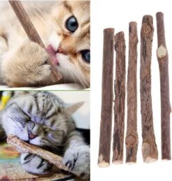 Matatabi Kauwstaafjes Voor Katten - 5x Matabi Stokjes - Kattenspeelgoed - 100% Natuurlijke Sticks - Plantaardig - Silver Vine Kauwstaven Voor Kittens - Kattenkruid Effect - Gebitsverzorging - 5 Stuks Vardaan Kauwstaven Voor Katten - XS - 11 Cm -Merkloos Winkel 1143x1200 2