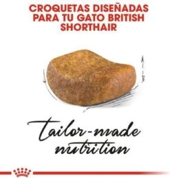 Royal Canin British Shorthair Adult - Kattenvoer - 2 Kg 18 Royal Canin British Shorthair Adult - Kattenvoer - 2 Kg -Merkloos Winkel 1146x1200 1