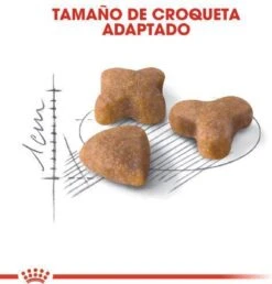 Royal Canin Sensible 33 - Kattenvoer - 10+2 Kg Bonusbag -Merkloos Winkel 1149x1200