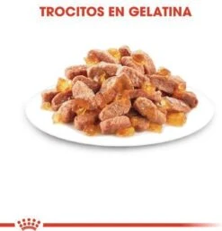 Royal Canin Kitten In Jelly - Kattenvoer - 1020 G 28 Royal Canin Kitten In Jelly - Kattenvoer - 1020 G -Merkloos Winkel 1149x1200 4