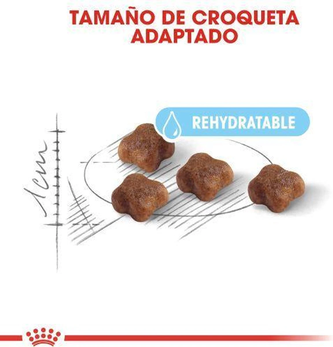 Royal Canin Mother & Babycat - Kattenvoer - 4 Kg 10 Royal Canin Mother & Babycat - Kattenvoer - 4 Kg - Afbeelding 10