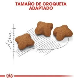 Royal Canin Kitten Sterilised - Kattenvoer - 3,5 Kg -Merkloos Winkel 1151x1200