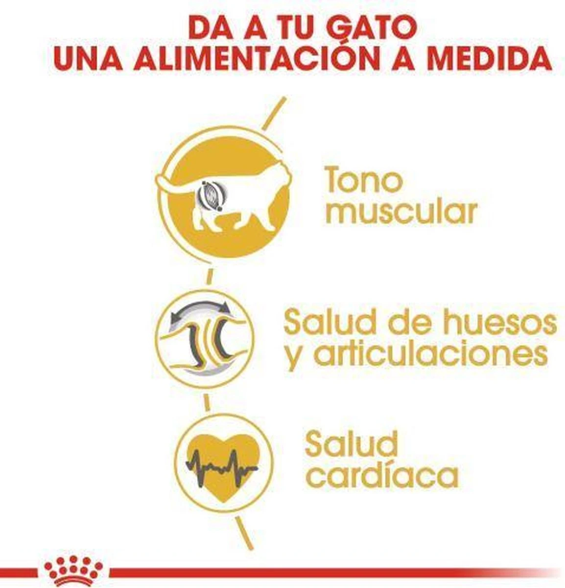 Royal Canin British Shorthair Adult - Kattenvoer - 2 Kg 13 Royal Canin British Shorthair Adult - Kattenvoer - 2 Kg - Afbeelding 13