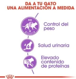 Royal Canin Sterilised 37 - Kattenvoer - 4 Kg -Merkloos Winkel 1154x1200 2