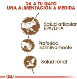 Royal Canin Wet Ageing 12+ (12X85 GR) -Merkloos Winkel 1158x1200 1