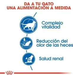 Royal Canin Indoor 7+ - Kattenvoer - 3,5 Kg -Merkloos Winkel 1161x1200 4