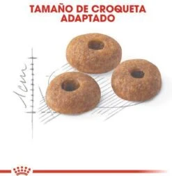 Royal Canin Fit 32 - Kattenvoer - 10 Kg -Merkloos Winkel 1173x1200