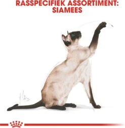 Royal Canin Siamese Adult - Kattenvoer - 4 Kg -Merkloos Winkel 1178x1200 2