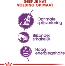 Royal Canin Sensible 33 - Kattenvoer - 10+2 Kg Bonusbag -Merkloos Winkel 1178x1200