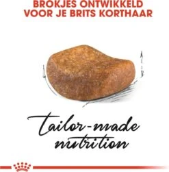 Royal Canin British Shorthair Adult - Kattenvoer - 2 Kg 22 Royal Canin British Shorthair Adult - Kattenvoer - 2 Kg -Merkloos Winkel 1179x1200 4