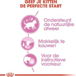 Royal Canin Kitten In Jelly - Kattenvoer - 1020 G 23 Royal Canin Kitten In Jelly - Kattenvoer - 1020 G -Merkloos Winkel 1179x1200 9