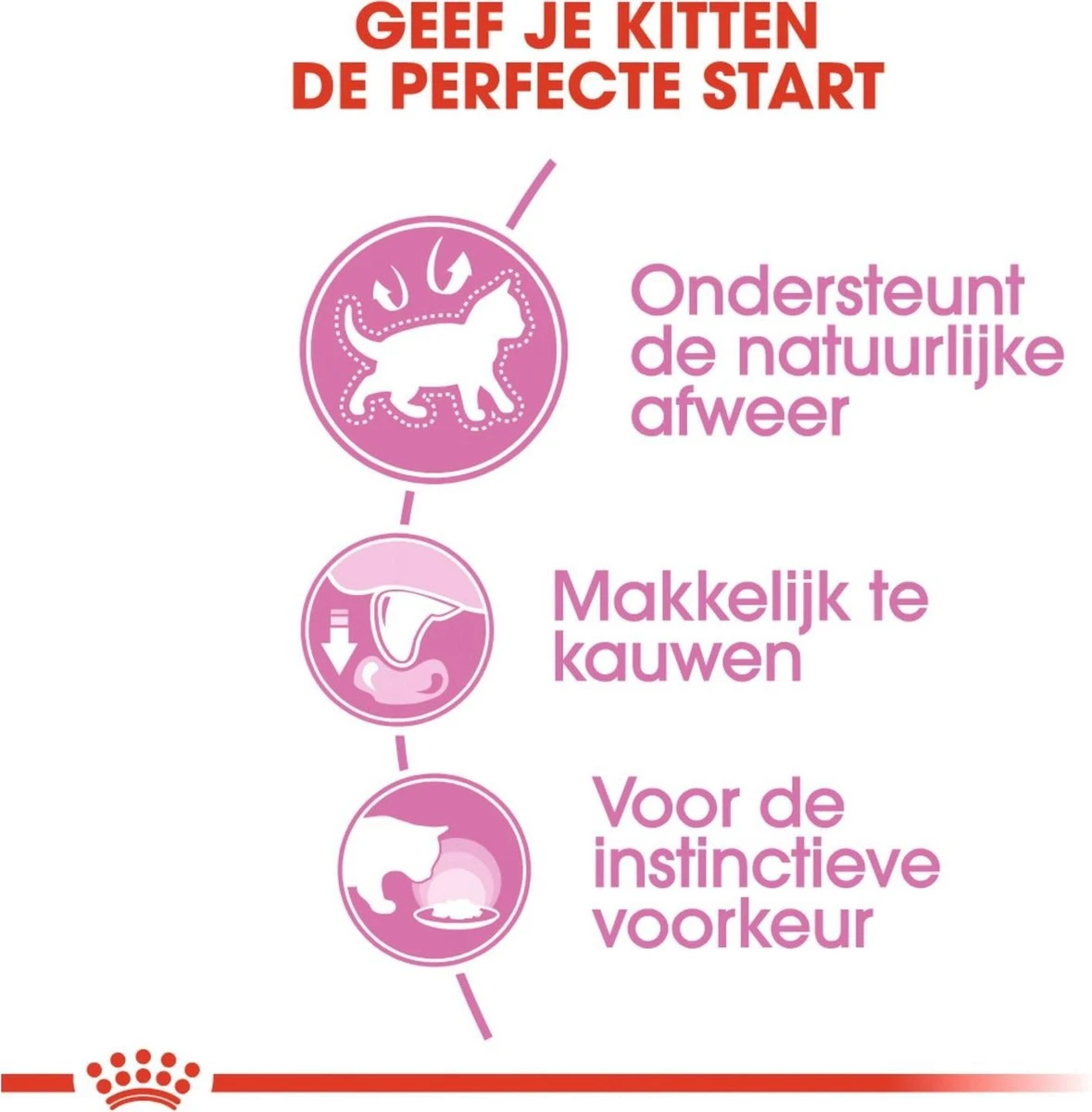 Royal Canin Kitten In Jelly - Kattenvoer - 1020 G 4 Royal Canin Kitten In Jelly - Kattenvoer - 1020 G - Afbeelding 4