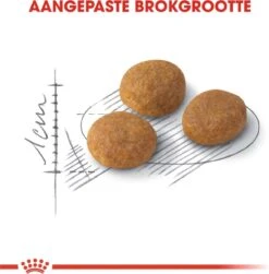 ROYAL CANIN® Aroma Exigent - Kattenvoer - 400 Gram -Merkloos Winkel 1180x1200 1