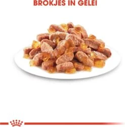 Royal Canin Kitten In Jelly - Kattenvoer - 1020 G 22 Royal Canin Kitten In Jelly - Kattenvoer - 1020 G -Merkloos Winkel 1183x1200 5