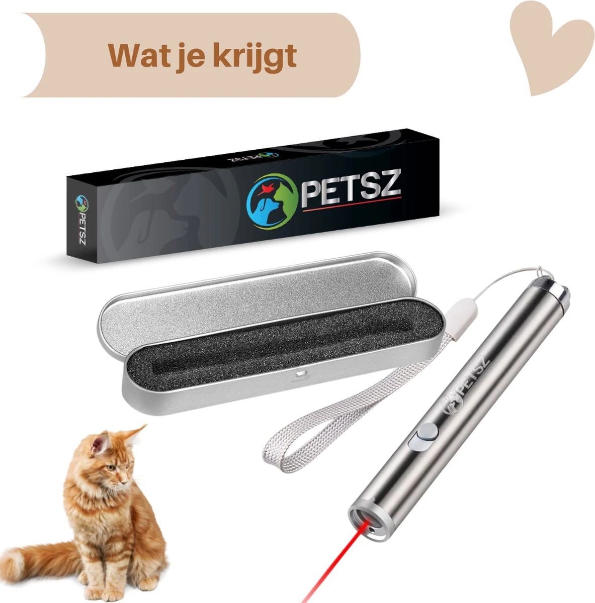 Laserpen - Kattenspeeltjes - Zaklamp - Kat - Laser - Kattenspeelgoed - RVS Opbergblikje 5 Laserpen - Kattenspeeltjes - Zaklamp - Kat - Laser - Kattenspeelgoed - RVS Opbergblikje - Afbeelding 5