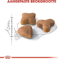 Royal Canin Sensible 33 - Kattenvoer - 10+2 Kg Bonusbag -Merkloos Winkel 1185x1200