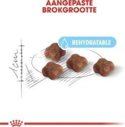 Royal Canin Mother & Babycat - Kattenvoer - 4 Kg 22 Royal Canin Mother & Babycat - Kattenvoer - 4 Kg -Merkloos Winkel 1186x1200 3