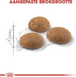 Royal Canin Outdoor - Kattenvoer - 4 Kg -Merkloos Winkel 1186x1200 5
