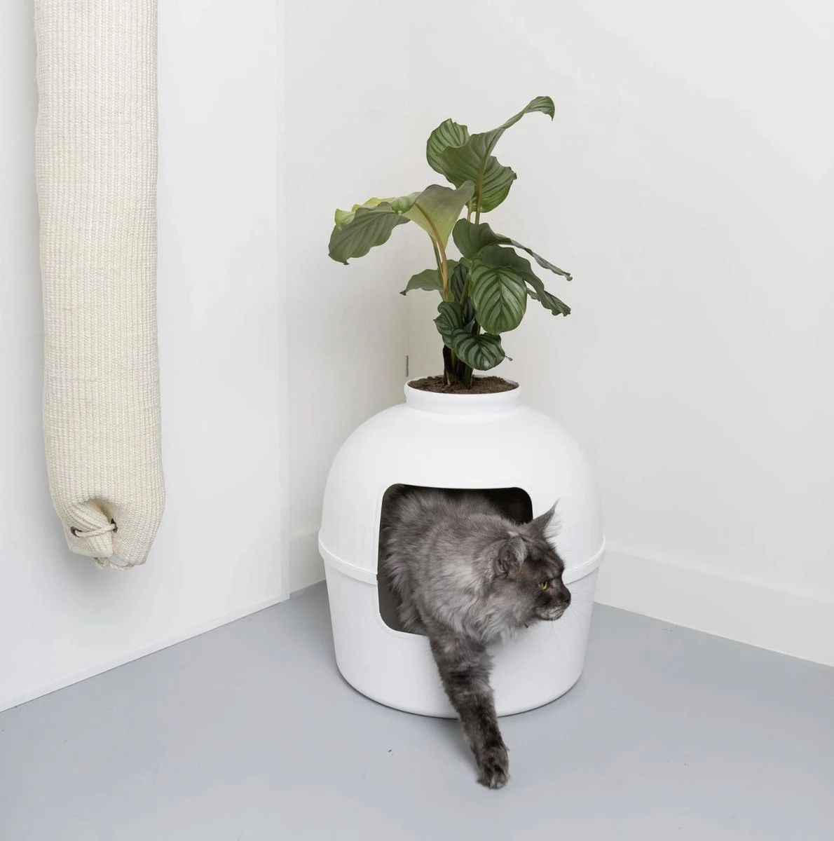 XXL Kattenbak – Verborgen Kattentoilet – Flower XXL Wit Voor Grote Katten Van RHRQuality 1 XXL Kattenbak – Verborgen Kattentoilet – Flower XXL Wit Voor Grote Katten Van RHRQuality