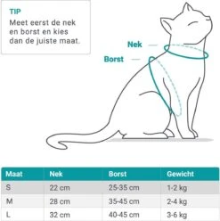Merkloos Kattentuigje Met Looplijn | Zwart Kattenharnas | Easy Step In | Kattenriem | Kattenlijn | Kattentuig | Maat S 16 Merkloos Kattentuigje Met Looplijn | Zwart Kattenharnas | Easy Step In | Kattenriem | Kattenlijn | Kattentuig | Maat S -Merkloos Winkel 1195x1200 16