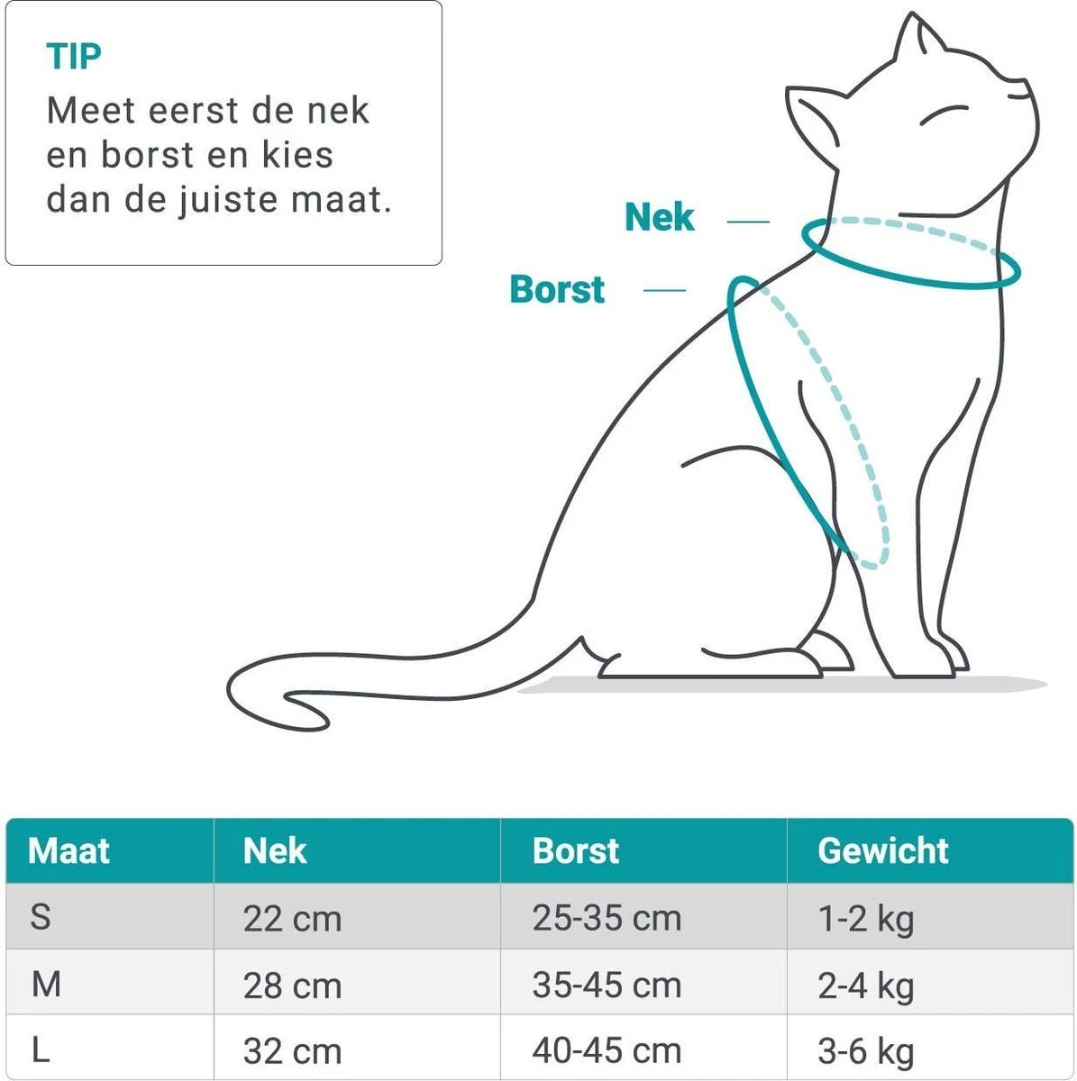 Merkloos Kattentuigje Met Looplijn | Zwart Kattenharnas | Easy Step In | Kattenriem | Kattenlijn | Kattentuig | Maat S 8 Merkloos Kattentuigje Met Looplijn | Zwart Kattenharnas | Easy Step In | Kattenriem | Kattenlijn | Kattentuig | Maat S - Afbeelding 8