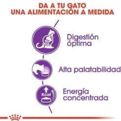 Royal Canin Sensible 33 - Kattenvoer - 10+2 Kg Bonusbag -Merkloos Winkel 1197x1200 1