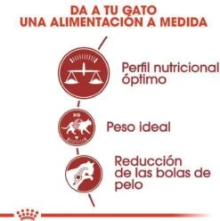 Royal Canin Fit 32 - Kattenvoer - 10 Kg -Merkloos Winkel 1197x1200 2