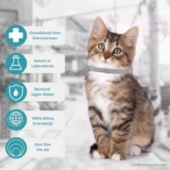 Biologische Vlooien- En Tekenband Voor Katten - BLAUW - Zonder Giftige Pesticiden - Veilig En Verantwoord -Merkloos Winkel 1199x1200 1