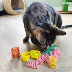 Moowi - Springveren 30 Stuks - Kat - Kattenveertjes - Kattenspeelgoed -Merkloos Winkel 1199x1200 22