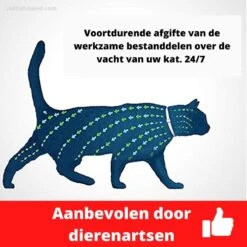 Biologische Vlooien- En Tekenband Voor Katten - BLAUW - Zonder Giftige Pesticiden - Veilig En Verantwoord -Merkloos Winkel 1199x1200